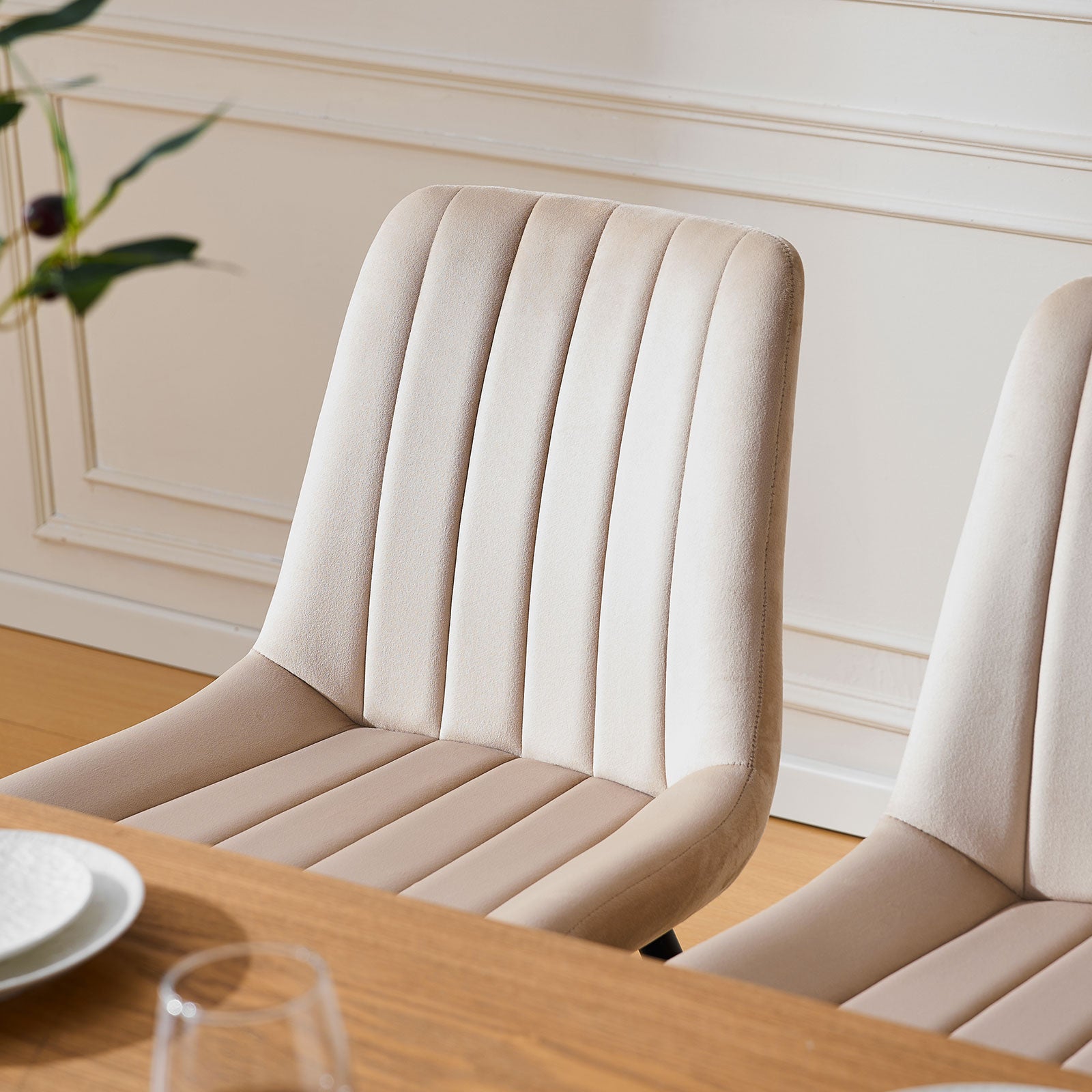 Clair Esszimmerstühle aus Samt