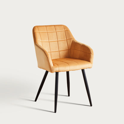 Bloor Esszimmerstühle aus Samt[2er-Set]